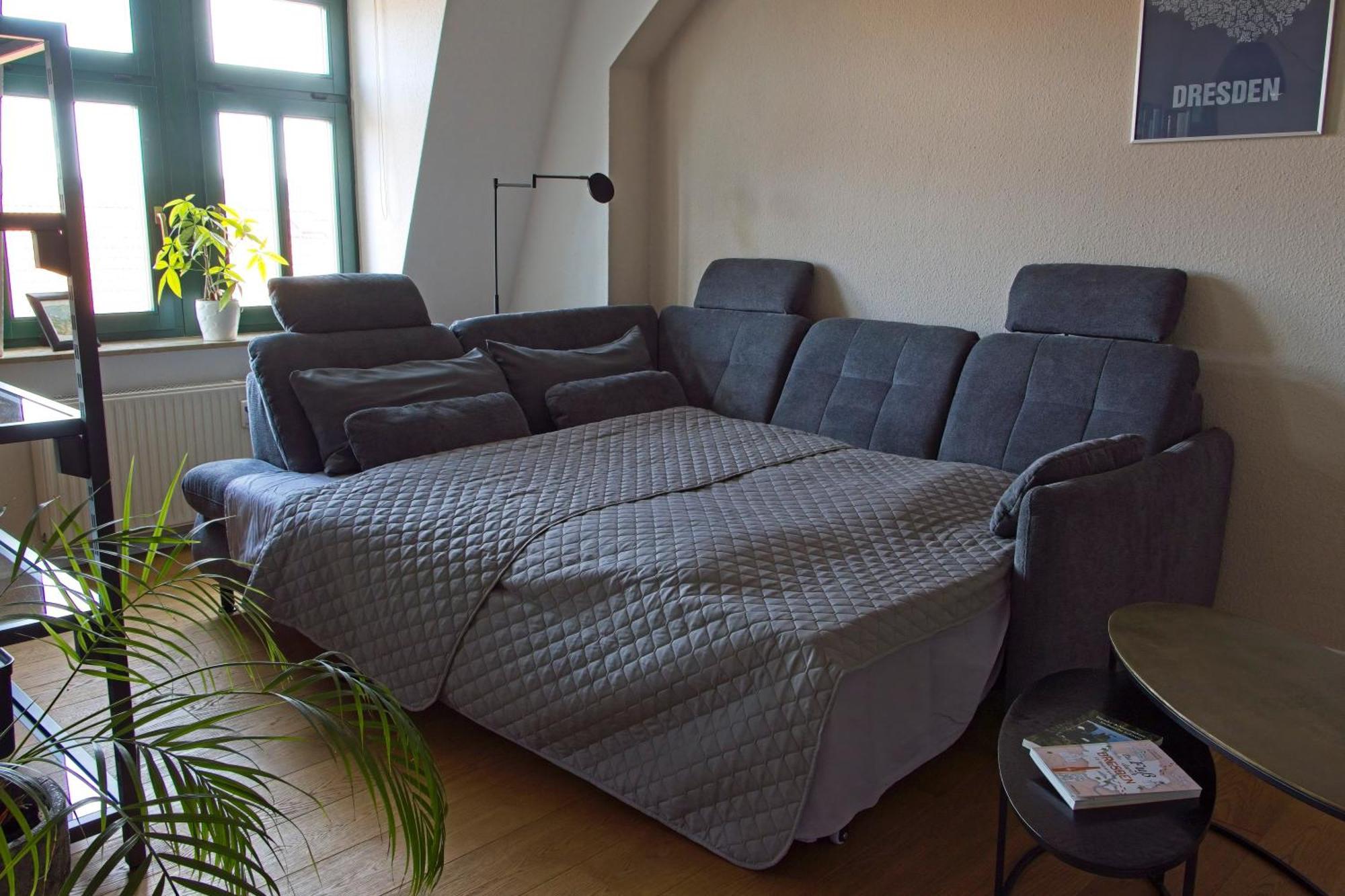 Neustadt-Aussicht - Grosse Wohnung Mit Balkon 德累斯顿 外观 照片
